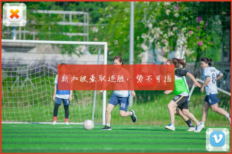 新加坡豪取连胜,势不可挡