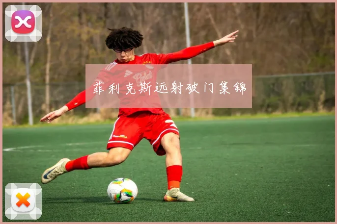 菲利克斯远射破门集锦