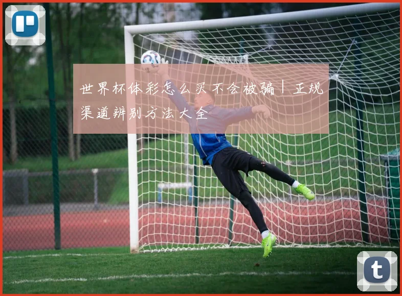 世界杯体彩怎么买不会被骗|正规渠道辨别方法大全