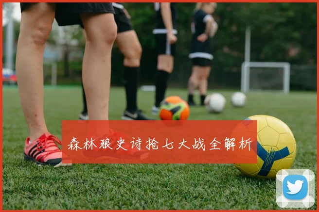 森林狼史诗抢七大战全解析