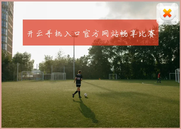 开云手机入口官方网站畅享比赛
