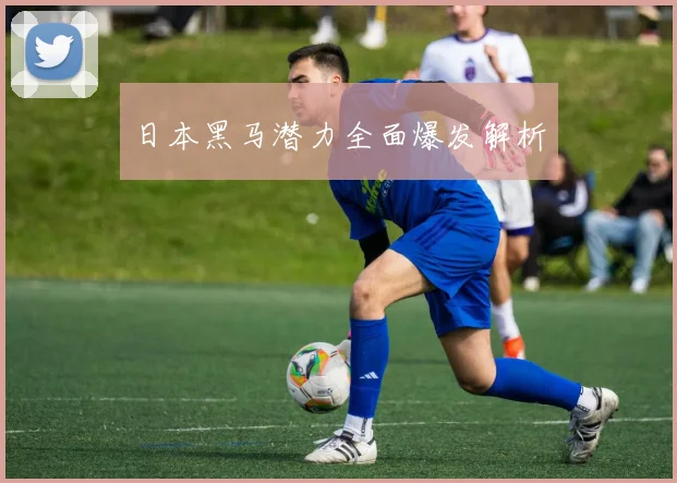 日本黑马潜力全面爆发解析