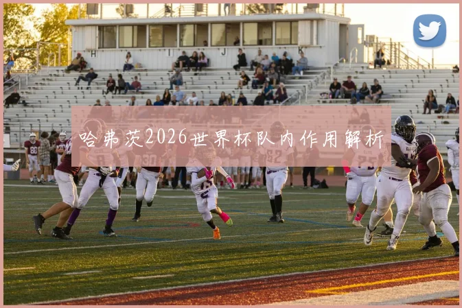 哈弗茨2026世界杯队内作用解析