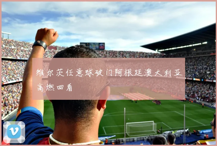 维尔茨任意球破门阿根廷澳大利亚高燃回看