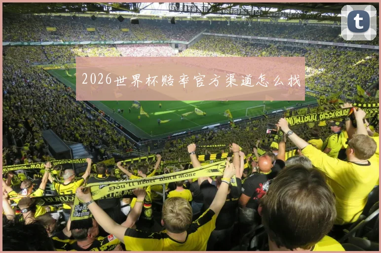 2026世界杯赔率官方渠道怎么找