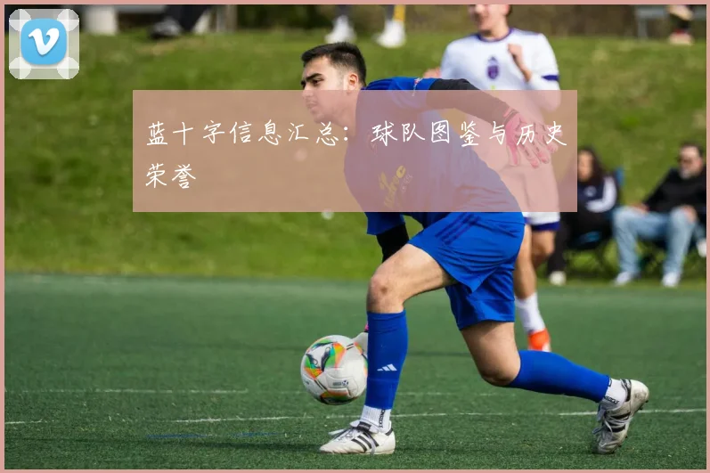 蓝十字信息汇总：球队图鉴与历史荣誉