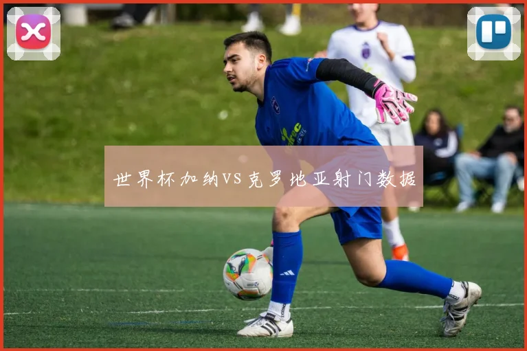 世界杯加纳vs克罗地亚射门数据